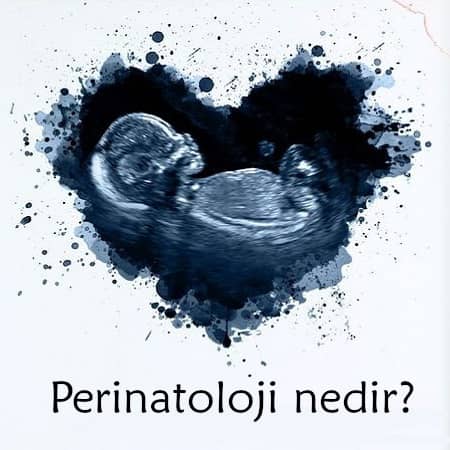 Perinatoloji nedir?